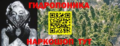 apvp Кинель