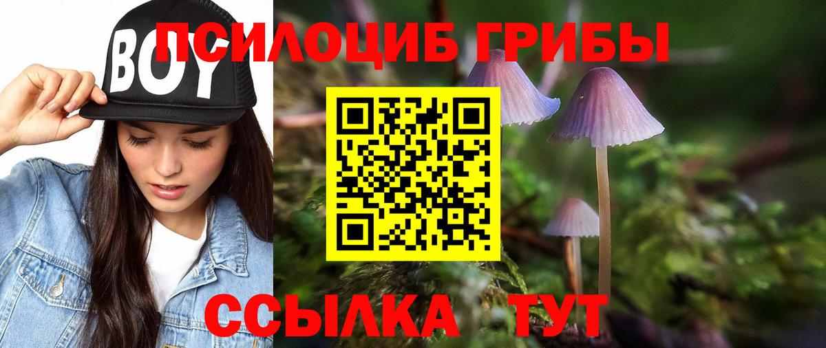 Галлюциногенные грибы мухоморы Краснодар